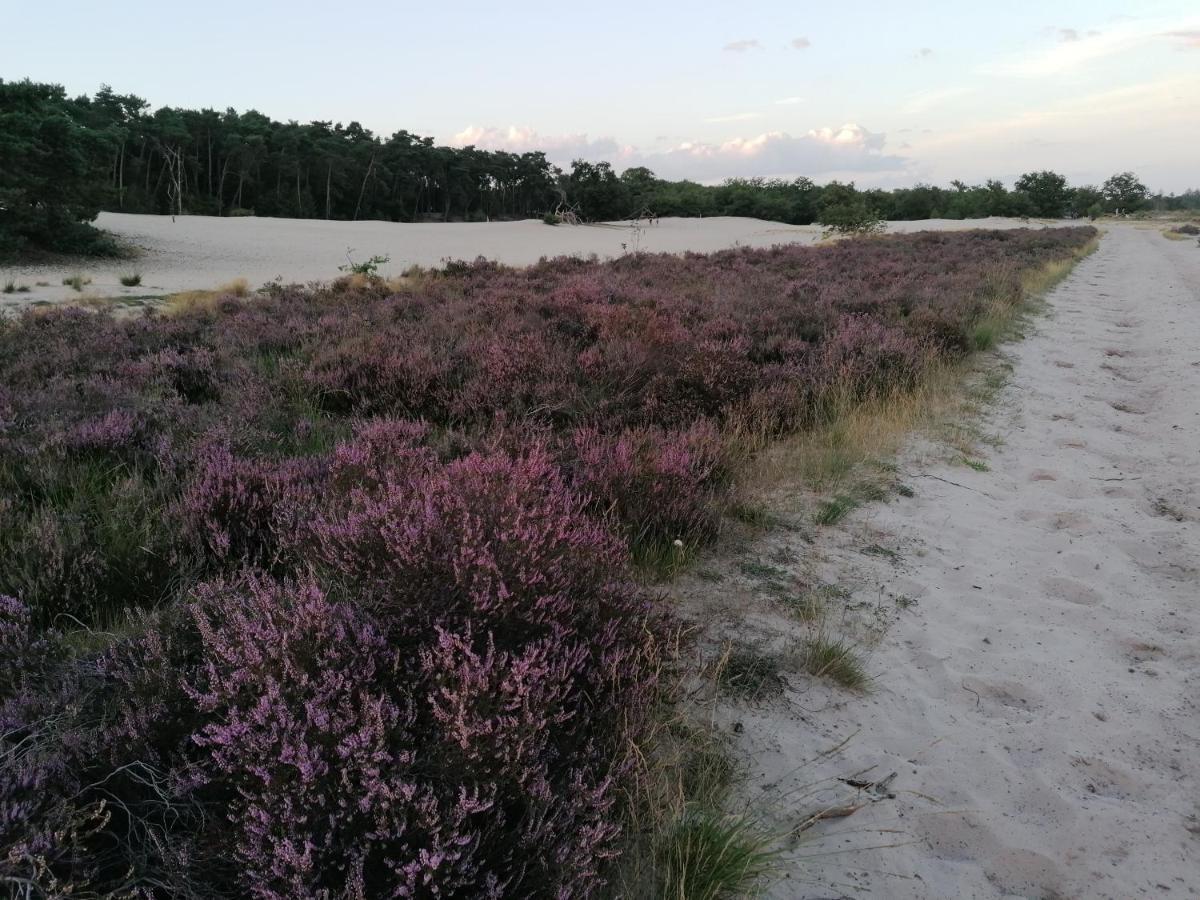 Vakantiehuis De Schaapskooi Drunen Eksteriør bilde